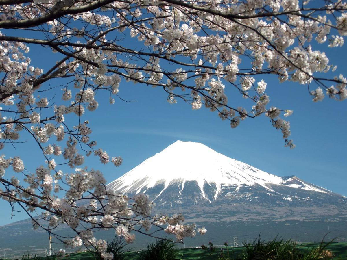 Fuji-Shi Business Hotel Furuiya Ryokan Fuji  Buitenkant foto
